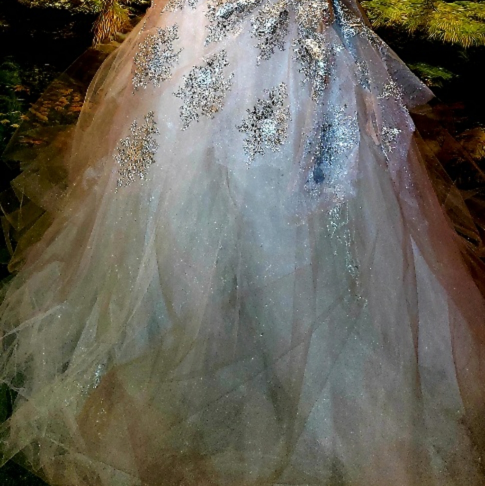 PRINCESS Custom Order Silver & White Wedding Gown - Picture 2 of 8
